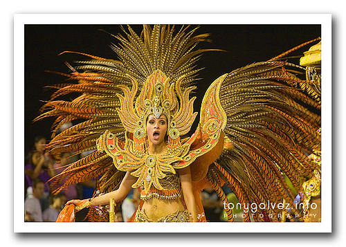 carnaval 2009, Vai-Vai